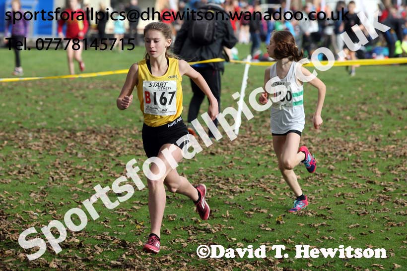 Girls under-13s Northern Cross Country Relays. Photo: David T. Hewitson/Sports for All Pics